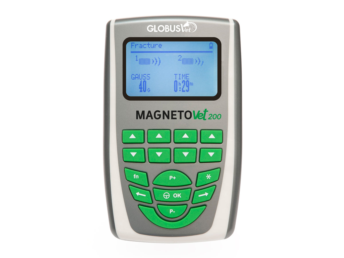 GLOBUSVet Magnetovet 200 incl. lying mat