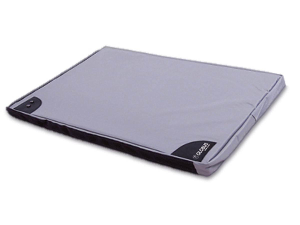 GLOBUSVet Magnetovet 200 incl. lying mat