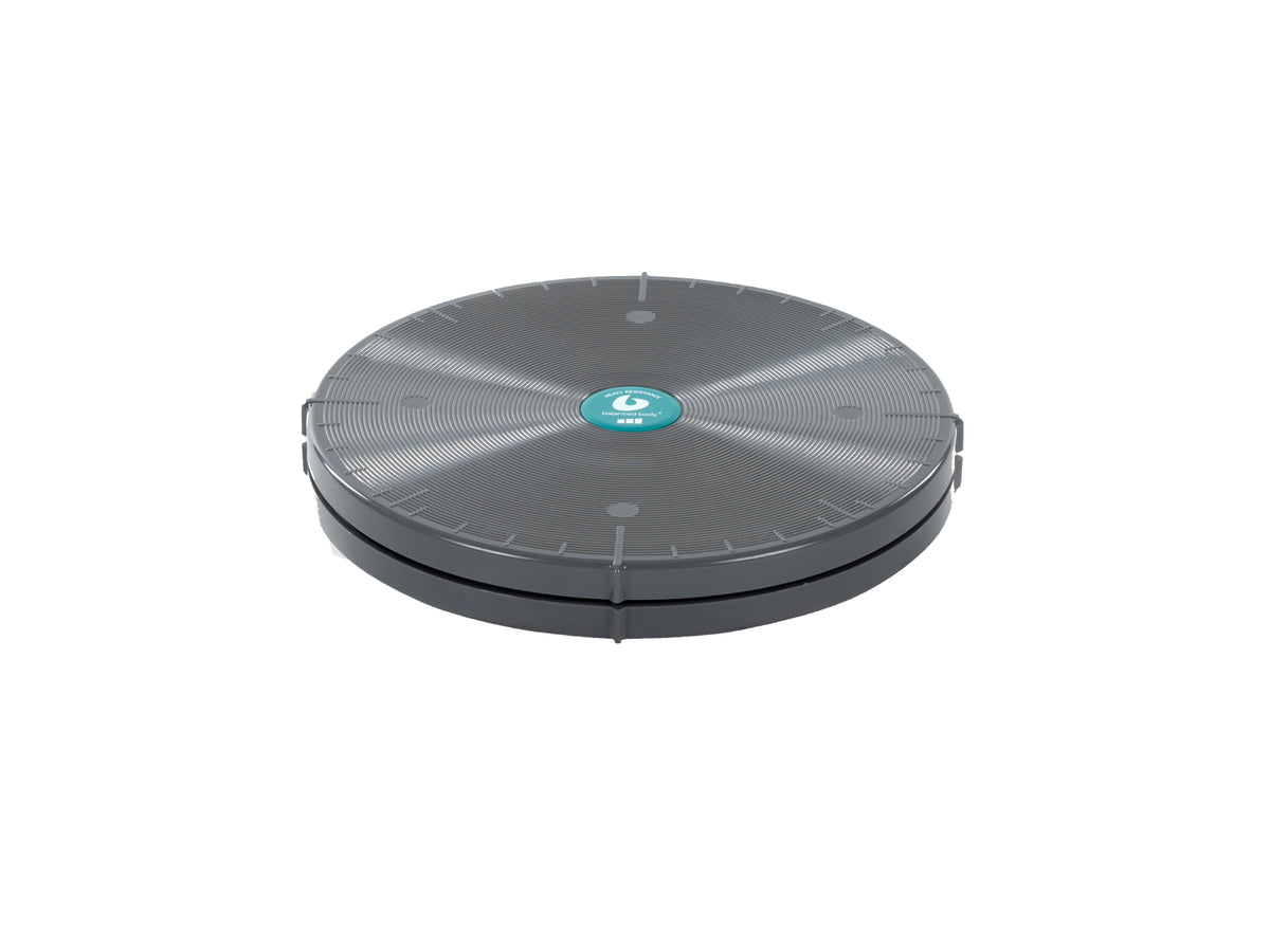 Balanced Body Precision Rotator Disc 23 cm, strong resistance
