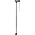 VITILITY walking stick anthracite