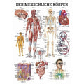 Rüdiger Mini Poster anatomique Le corps humain Papier, allemand