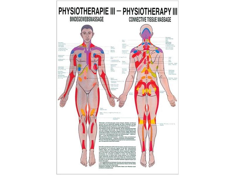 Rüdiger Physiotherapie-Poster – Bindegewebsmassage laminiert Deutsch/Englisch