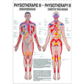 Poster de physiothérapie Rüdiger - Massage du tissu conjonctif laminé allemand/anglais