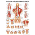 Rüdiger Poster 