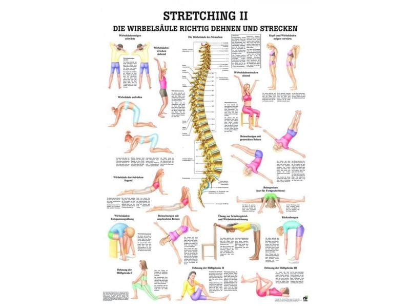 Rüdiger Anatomical Teaching Chart Stretching II Spine Paper German