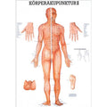 Rüdiger Planche anatomique d'acupuncture corporelle II laminée 70 x 100 cm, allemand