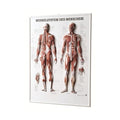 Panneau en relief Rüdiger - Poster 3D 54 x 74 cm plastique allemand