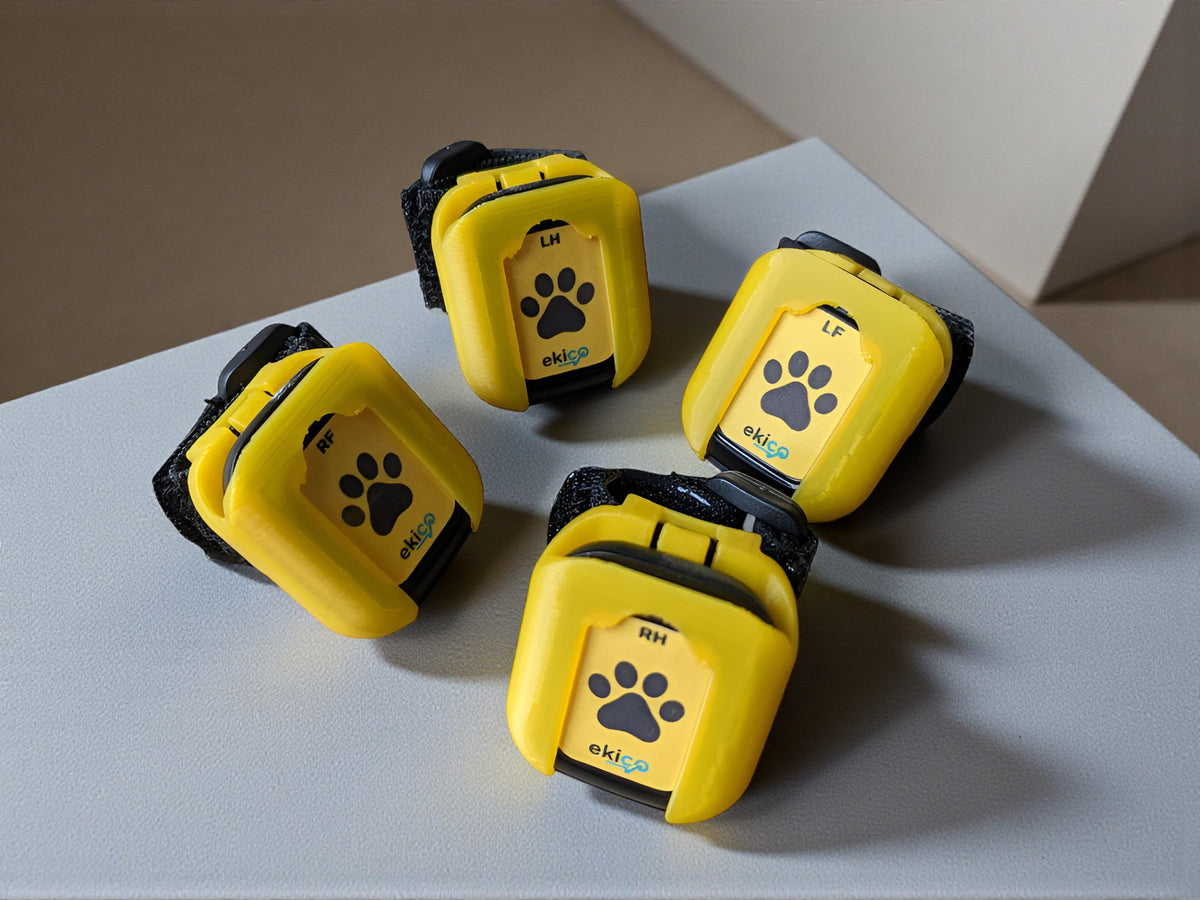 Tendiboots Canine Small Bands