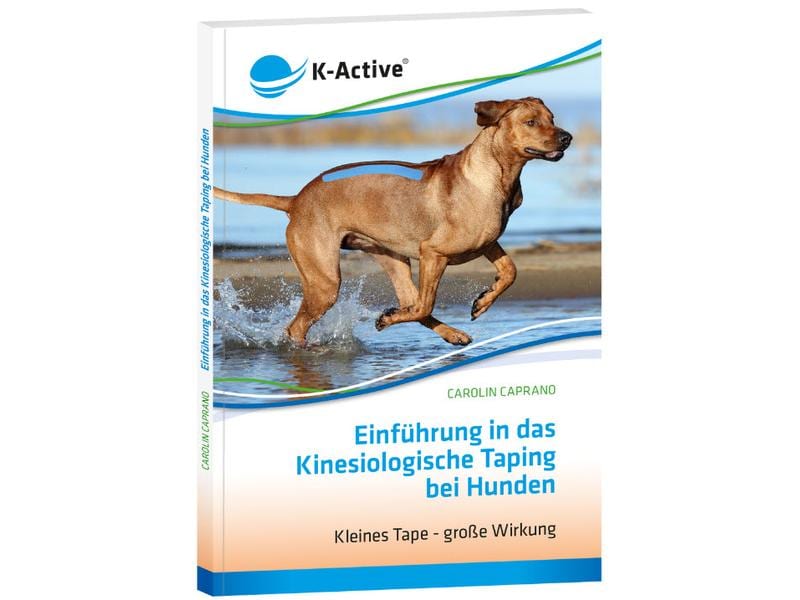 K-Active Buch Einführung Kinesiolog. Taping