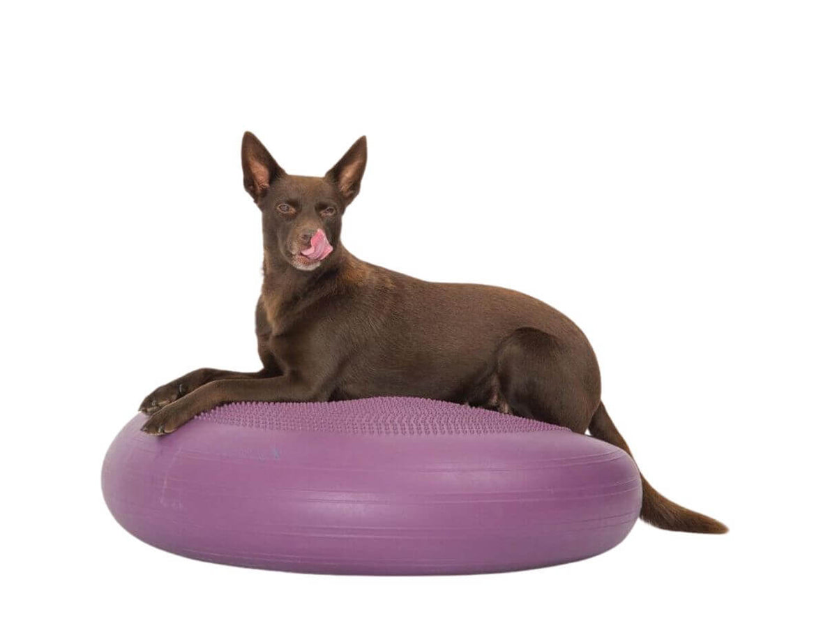 TOGU Dynair® Extreme Lilac