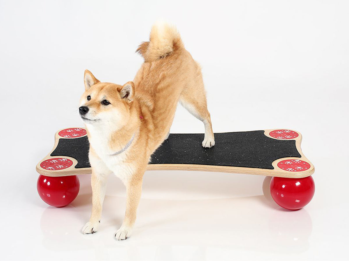 TOGU Balanza® Ballstep ANIMAL