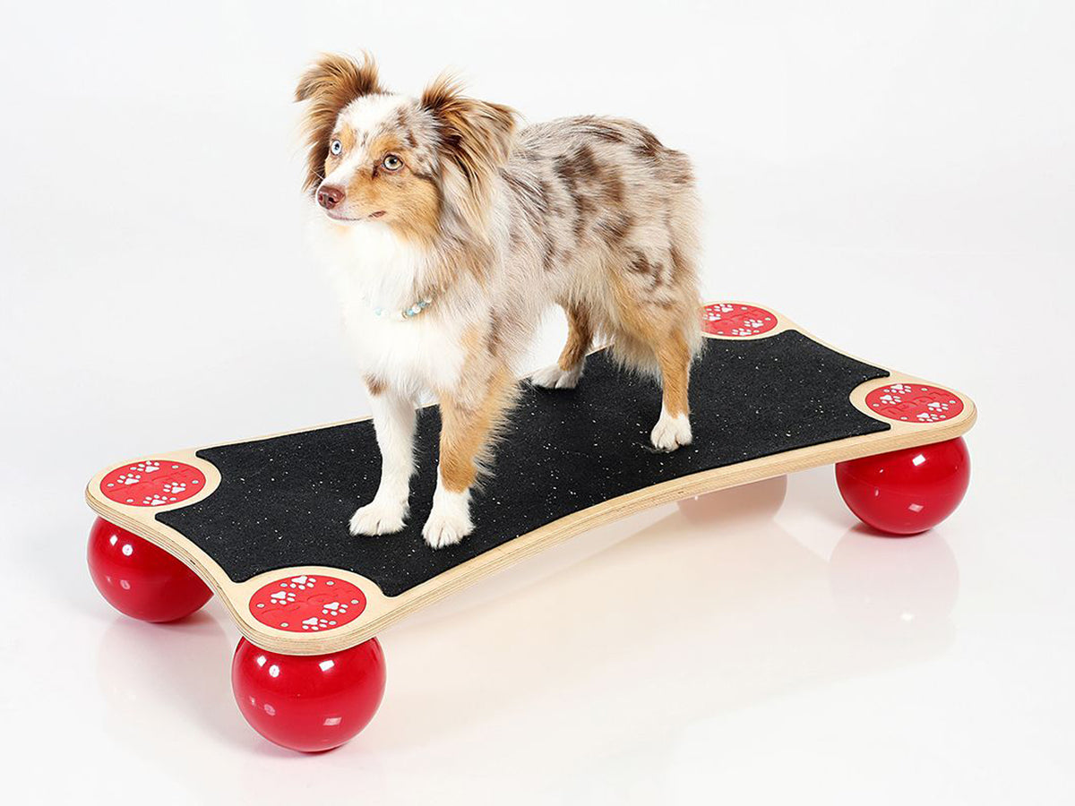 TOGU Balanza® Ballstep ANIMAL