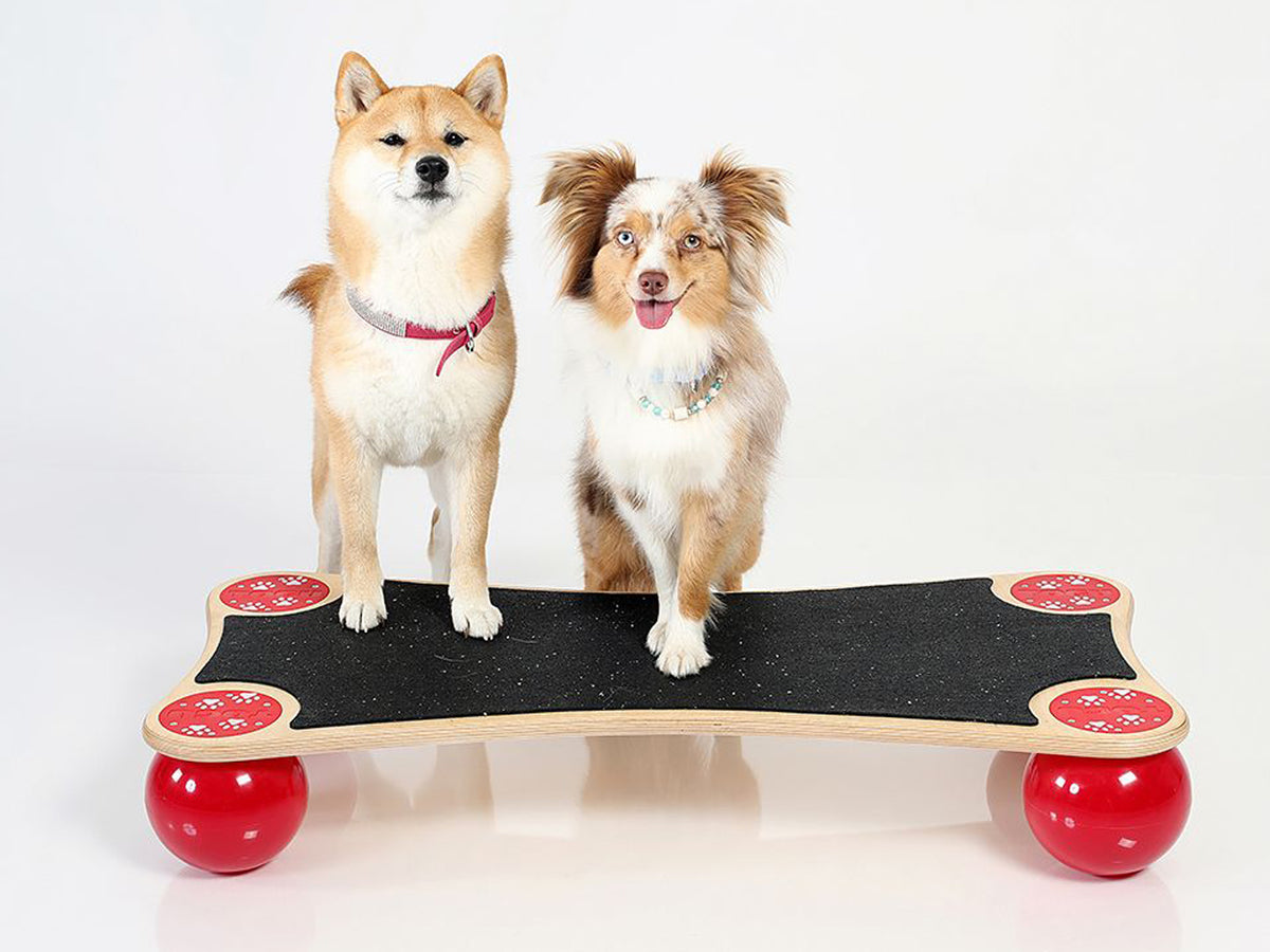 TOGU Balanza® Ballstep ANIMAL