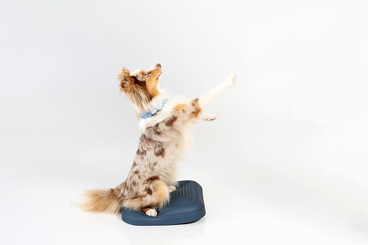 TOGU Dynair® ANIMAL Pad misty-mountain