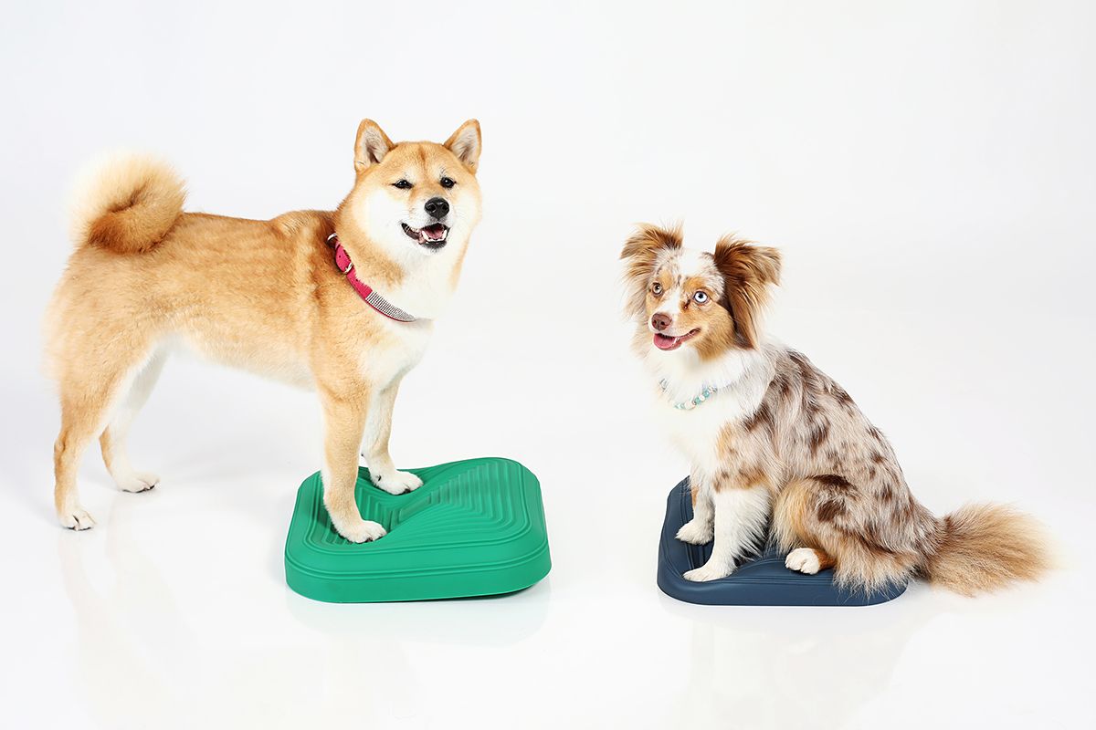 TOGU Dynair® ANIMAL Pad misty-mountain