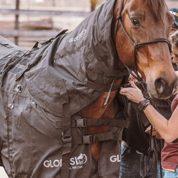 GLOBUSVet KIT Magnetovet 4000 Horse Pro