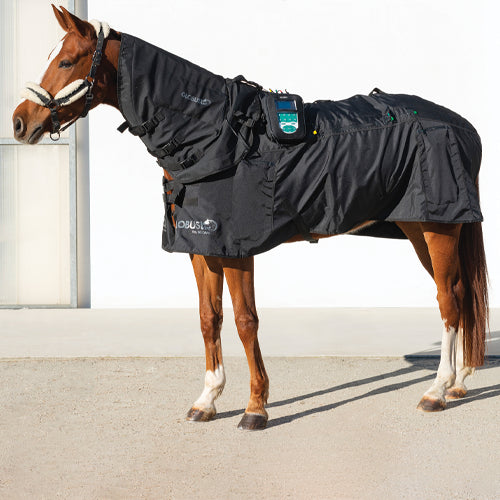GLOBUSVet KIT Magnetovet 4000 Horse Pro