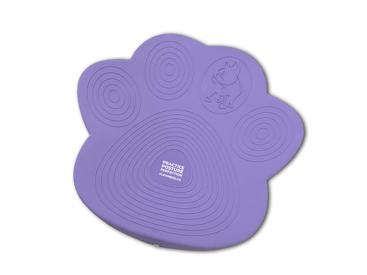 Flexiness PawDisc violet, Ø46 cm, hauteur 9 cm