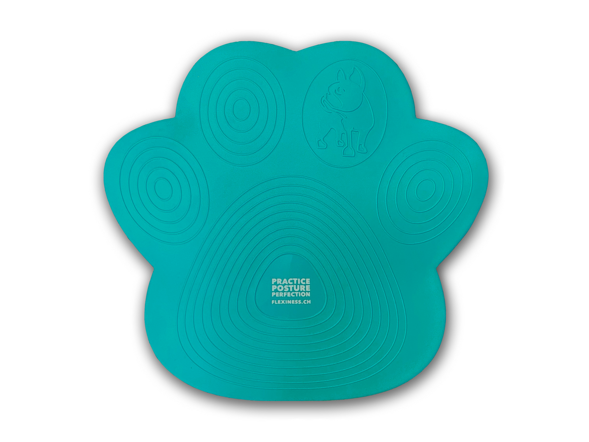 Flexiness PawDisc mermaid, Ø46 cm, Höhe 9 cm