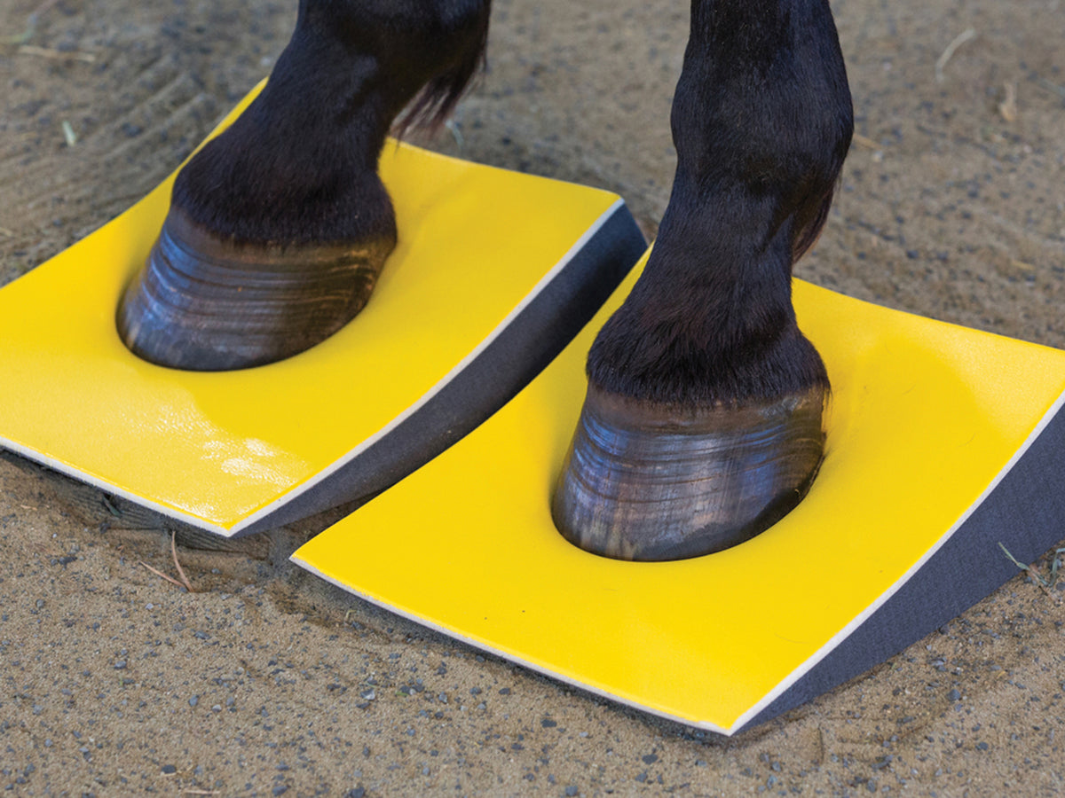 SURE FOOT Equine Slants Firm