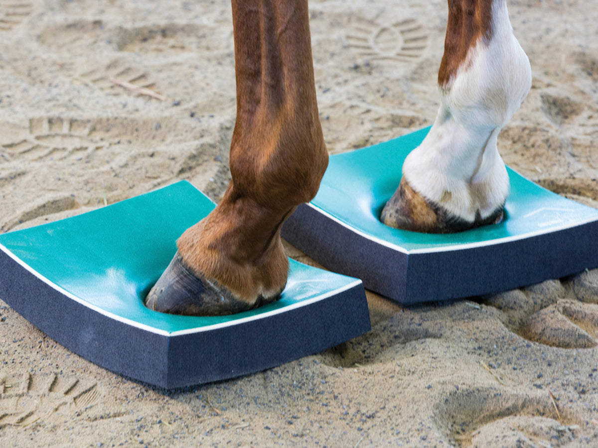 Coussinets SURE FOOT Equine Firm