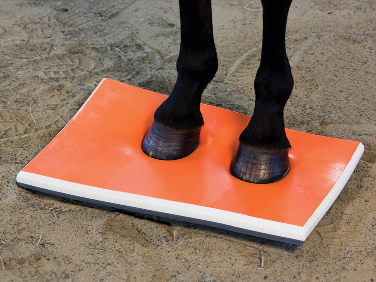 SURE FOOT Physiopad Equine Full