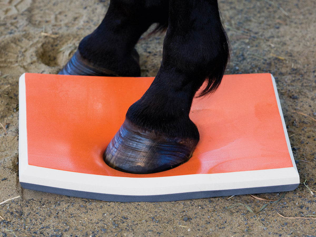 SURE FOOT Physiopad Half pour chevaux