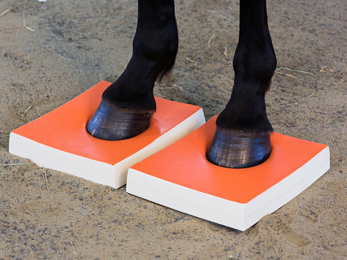 Coussinets SURE FOOT Equine Pads Hard