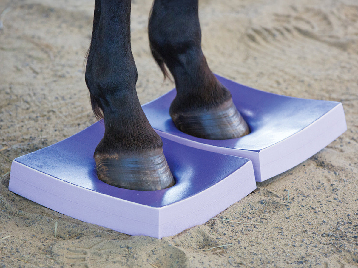 Coussinets SURE FOOT Equine Medium