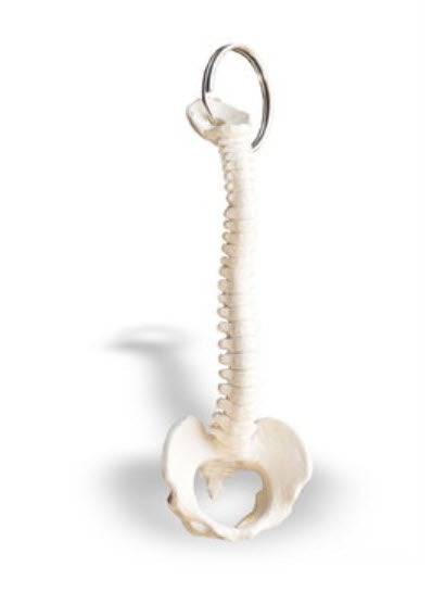 Rüdiger spine keyring pendant