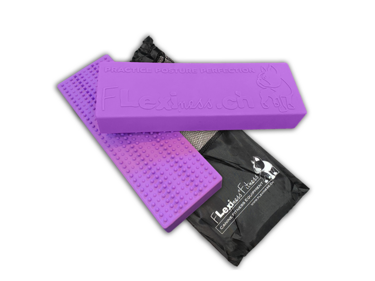 Flexiness StackingBar violet clair, 15 x 35 x 5 cm