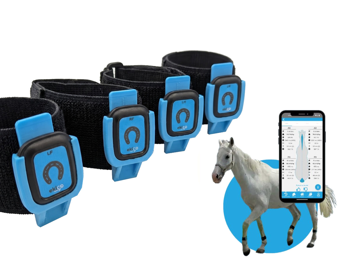 Tendiboots Equine