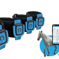 Tendiboots Equine, pour Analyse de la démarche chez les chevaux