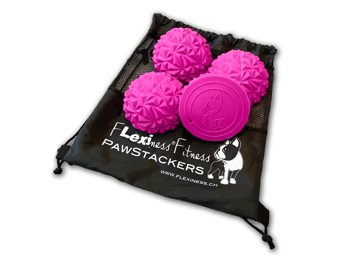 Flexiness ToyPawStackers pink, Ø 12 cm, height 5 cm