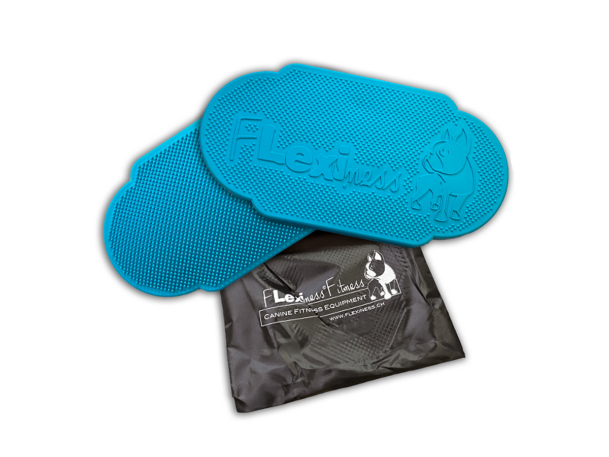 Flexiness TwinDisc blue, 23 x 12 x 2 cm