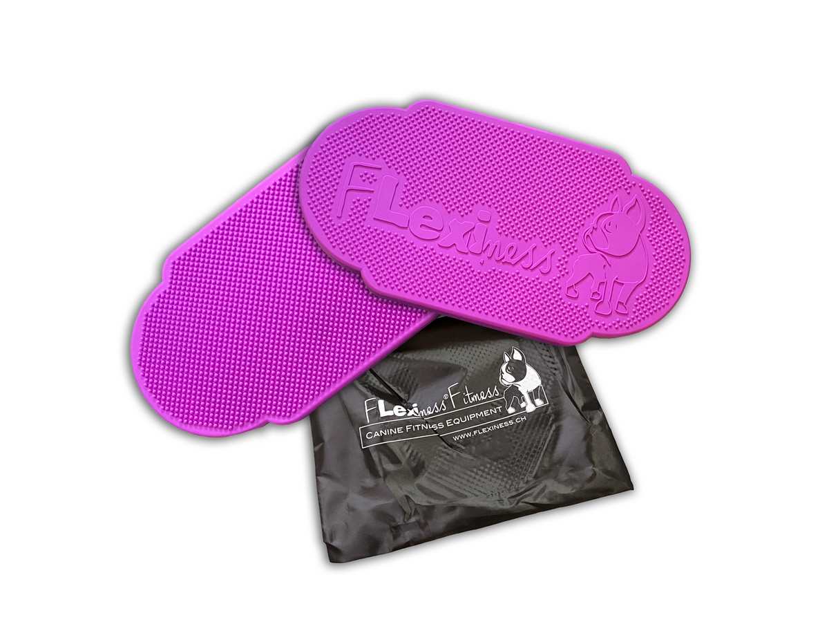 Flexiness TwinDisc mangenta, 59 x 30 x 5 cm